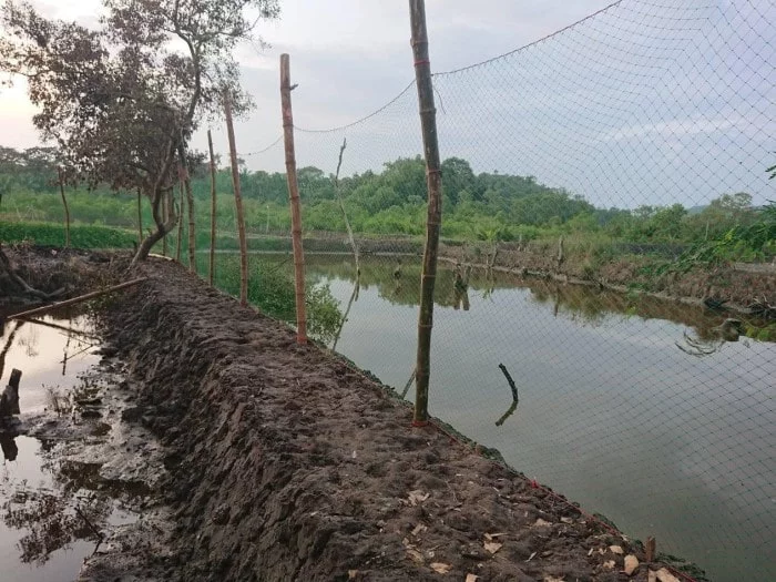 Preview photo of range net for chickens