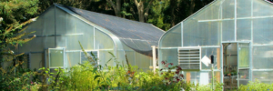 Read more about the article Greenhouse Nets for Plants and Its Many Other Uses