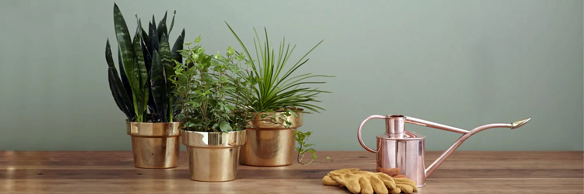 You are currently viewing All the Good You Get from Container Gardening