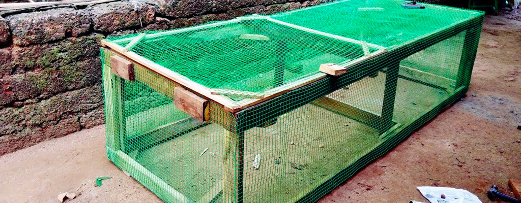 easy DIY coop using free range nets