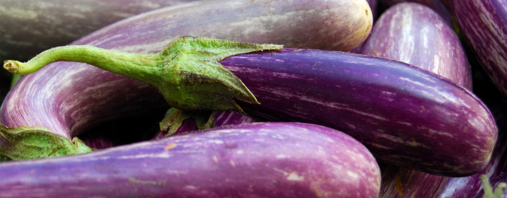 eggplant