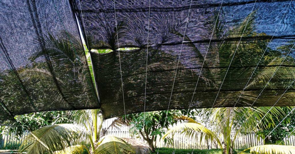 basics of setting up your garden netting