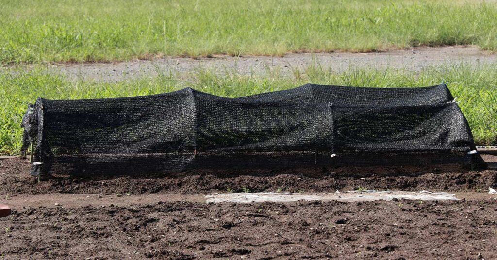 easy-to-do garden net hack for your plant beds