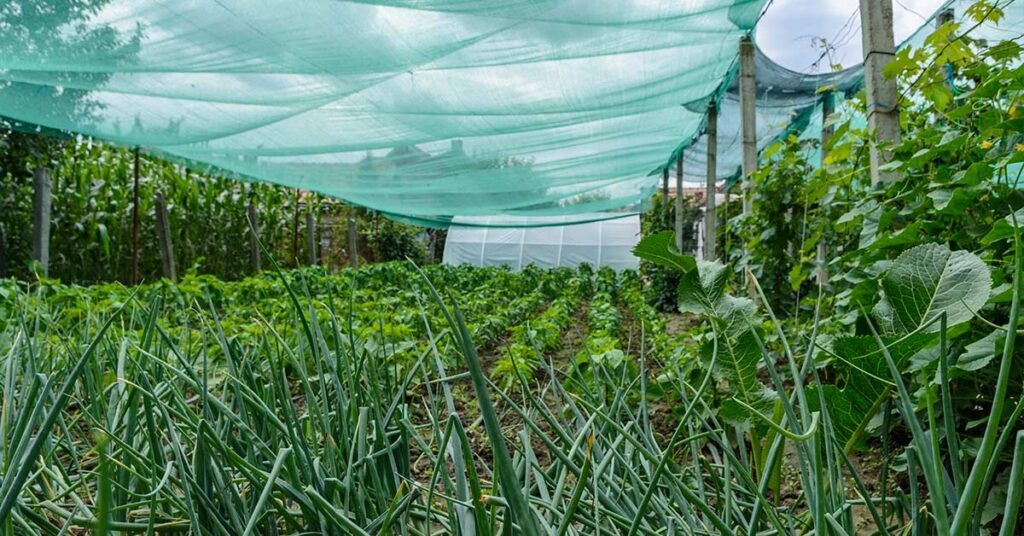 garden netting are easy to install and maintain