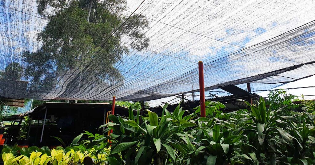 Try This Simple Garden Netting Hack to Protect Your Plants