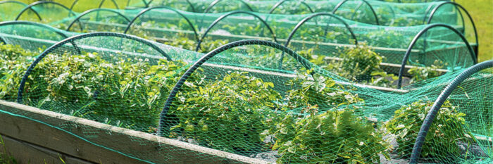 How to Build a Great Garden Netting Frame For Your Garden Raised Beds