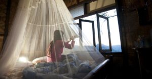 Read more about the article Umiwas Sa Sakit Gamit Ang Treated Mosquito Nets