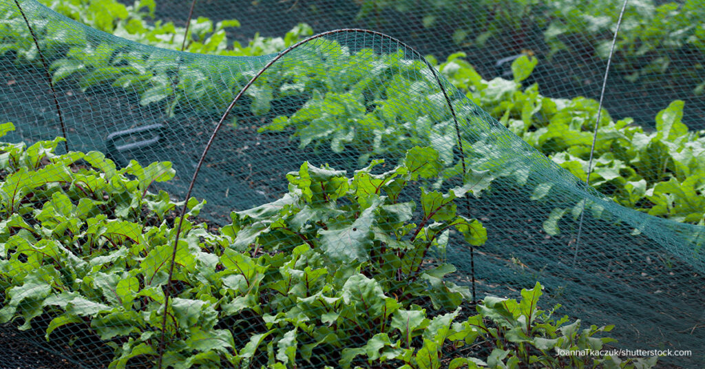 garden nets vs other methods