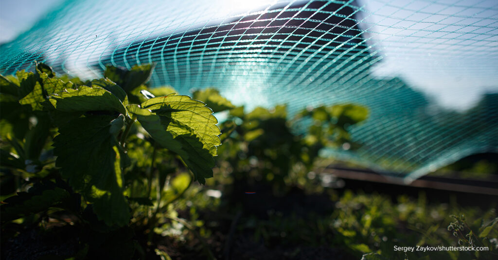 garden net myth