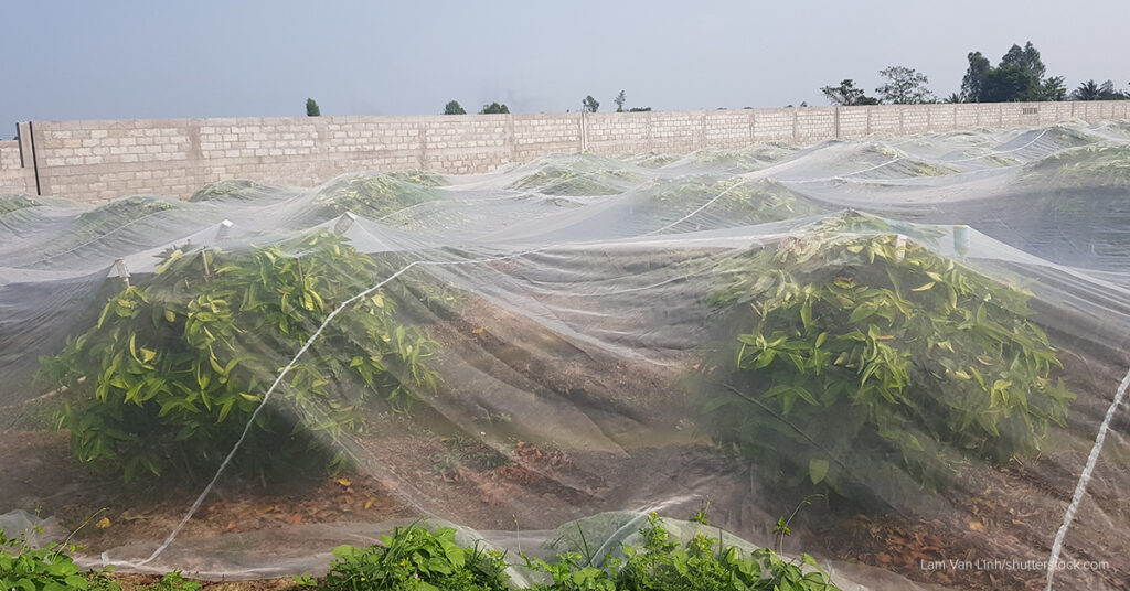 garden nets for fruit trees