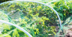 Read more about the article Protecting Your Vegetable Patch with Garden Nets: The Benefits of Shade Netting