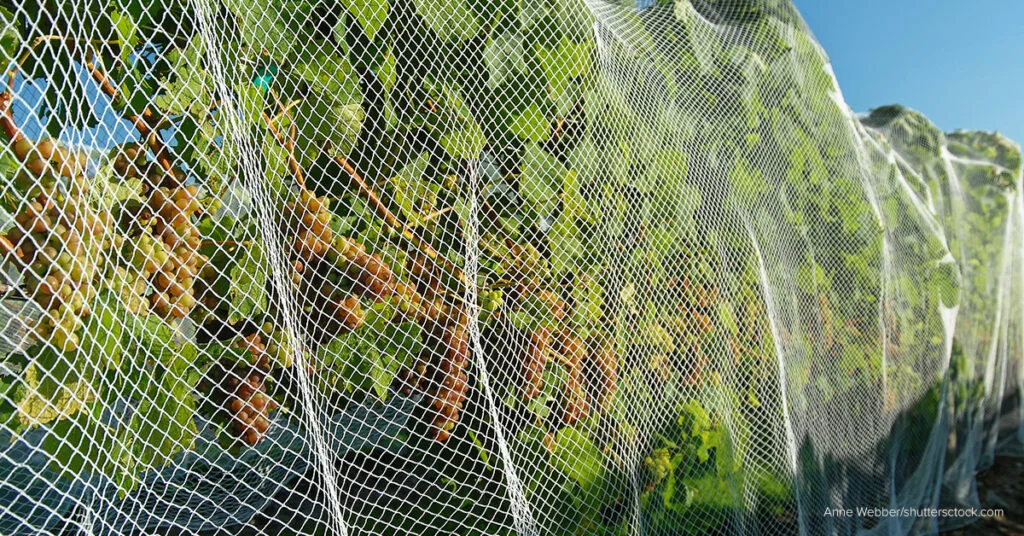 garden nets for vegetables