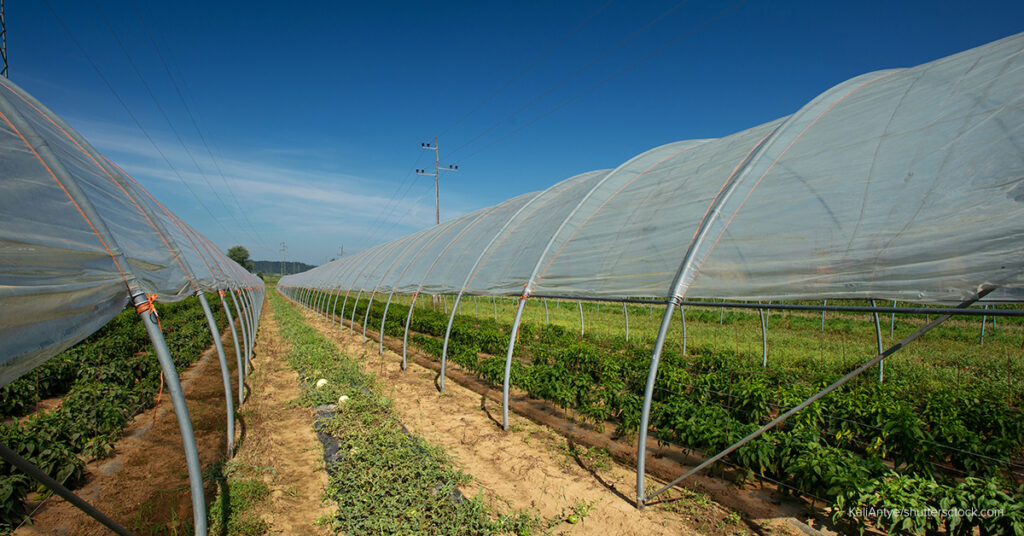 garden nets for vegetables
