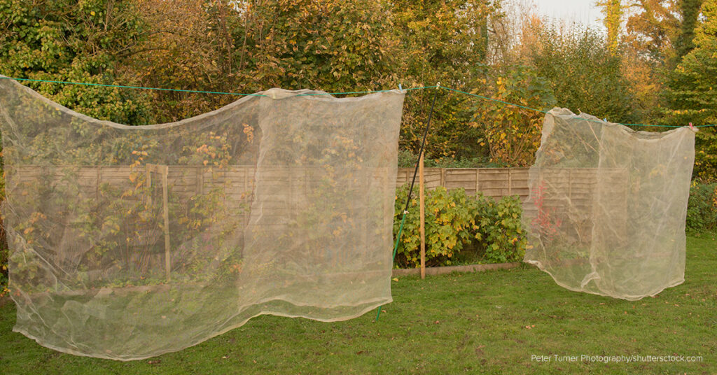 mosquito nets maintenance